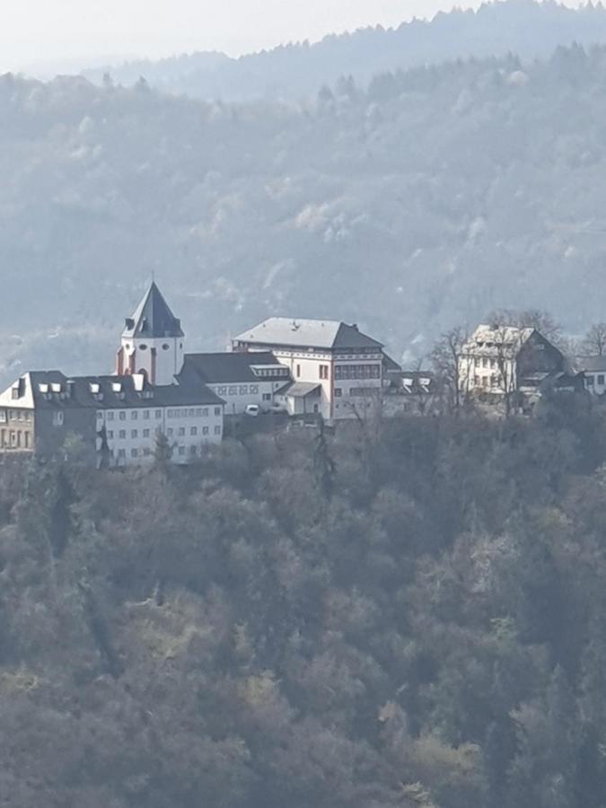 Villa Zur Koenigslay à Bullay Extérieur photo